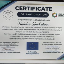 Skills Enrichment for Adoptive Leadership